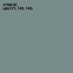 #798C8C - Blue Smoke Color Image