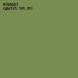 #798D51 - Glade Green Color Image