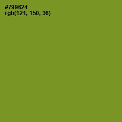 #799624 - Wasabi Color Image