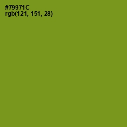 #79971C - Trendy Green Color Image