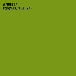 #799817 - Trendy Green Color Image