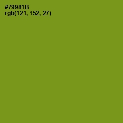 #79981B - Trendy Green Color Image