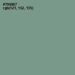 #799887 - Amulet Color Image