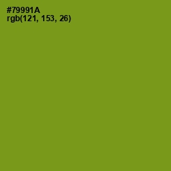 #79991A - Trendy Green Color Image
