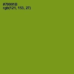 #79991B - Trendy Green Color Image