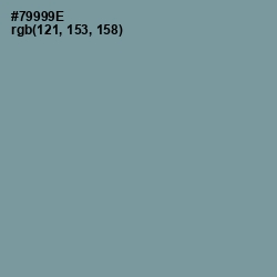 #79999E - Juniper Color Image