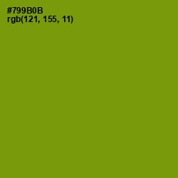 #799B0B - Limeade Color Image