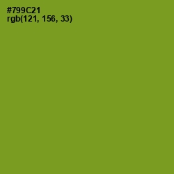 #799C21 - Wasabi Color Image