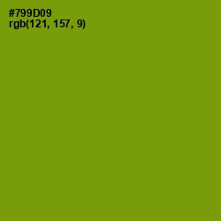 #799D09 - Limeade Color Image