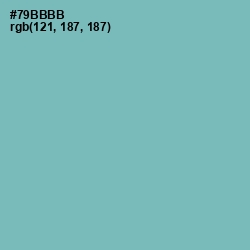 #79BBBB - Neptune Color Image