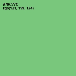 #79C77C - Pastel Green Color Image