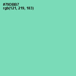 #79DBB7 - De York Color Image