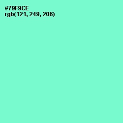 #79F9CE - Aquamarine Color Image