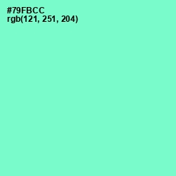 #79FBCC - Aquamarine Color Image