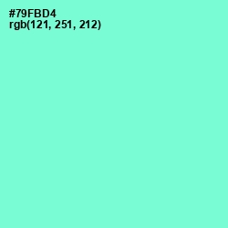 #79FBD4 - Aquamarine Color Image
