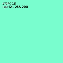 #79FCCE - Aquamarine Color Image