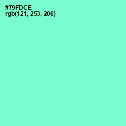 #79FDCE - Aquamarine Color Image