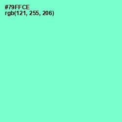 #79FFCE - Aquamarine Color Image