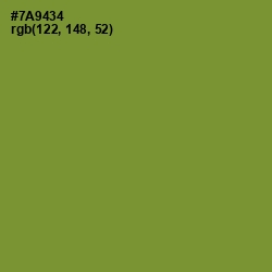 #7A9434 - Wasabi Color Image