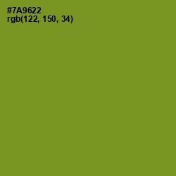 #7A9622 - Wasabi Color Image