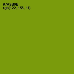 #7A9B0B - Limeade Color Image