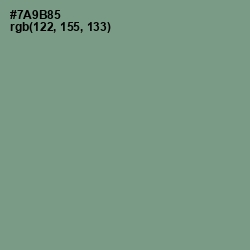 #7A9B85 - Amulet Color Image