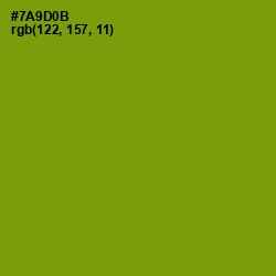 #7A9D0B - Limeade Color Image