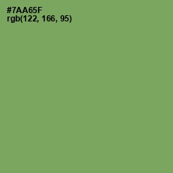 #7AA65F - Asparagus Color Image