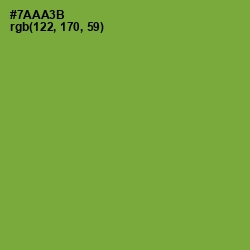 #7AAA3B - Wasabi Color Image