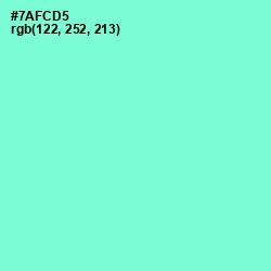 #7AFCD5 - Aquamarine Color Image