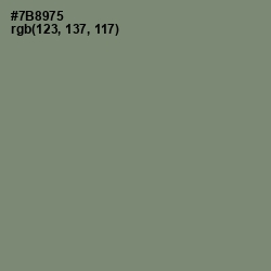 #7B8975 - Xanadu Color Image