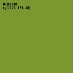 #7B9730 - Wasabi Color Image