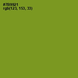 #7B9921 - Wasabi Color Image