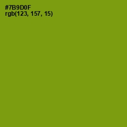 #7B9D0F - Limeade Color Image