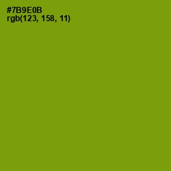 #7B9E0B - Limeade Color Image