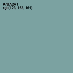 #7BA2A1 - Gumbo Color Image