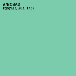 #7BCBAD - De York Color Image