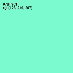 #7BF9CF - Aquamarine Color Image