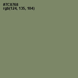 #7C8768 - Camouflage Green Color Image