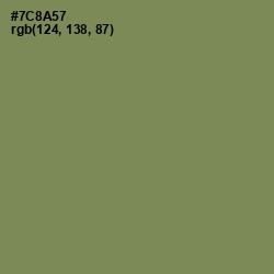 #7C8A57 - Glade Green Color Image