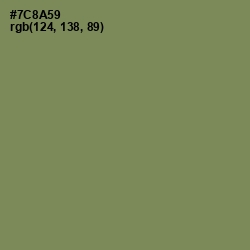 #7C8A59 - Glade Green Color Image