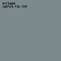 #7C8A8B - Blue Smoke Color Image