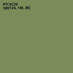 #7C8C58 - Glade Green Color Image