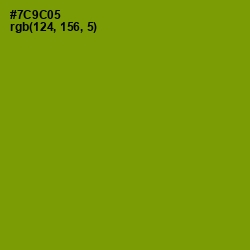 #7C9C05 - Limeade Color Image