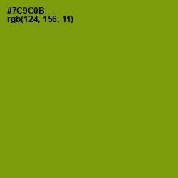 #7C9C0B - Limeade Color Image