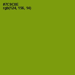 #7C9C0E - Limeade Color Image