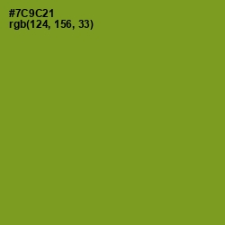 #7C9C21 - Wasabi Color Image