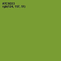 #7C9D33 - Wasabi Color Image