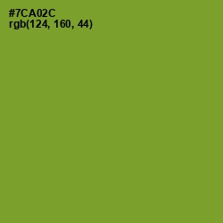 #7CA02C - Wasabi Color Image