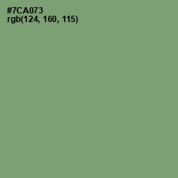 #7CA073 - Fern Color Image